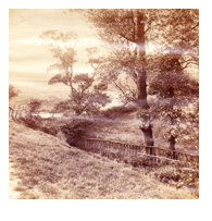 collage image title
