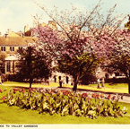 Entrance to Valley Gardens*