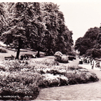 Elgar Walk near the Duck Pond*