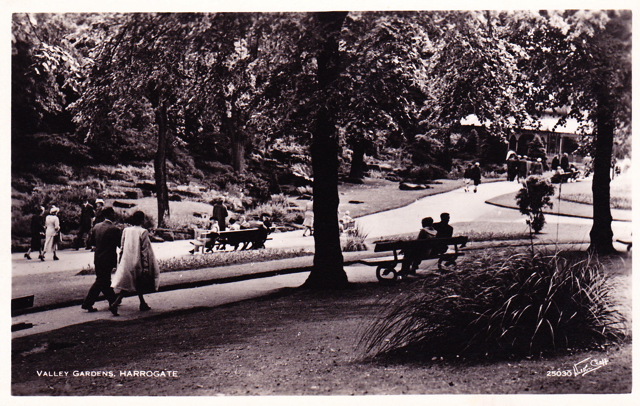 Loading Image