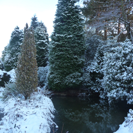 Photo 19 - Stream in Winter - Vertical