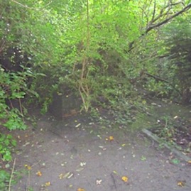 Well Head at top of Rockery