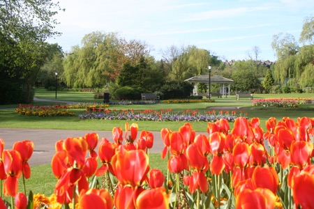 Photo 28 - Tulips and Fountain Garden 2