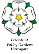 FOVG Yorkshire Rose