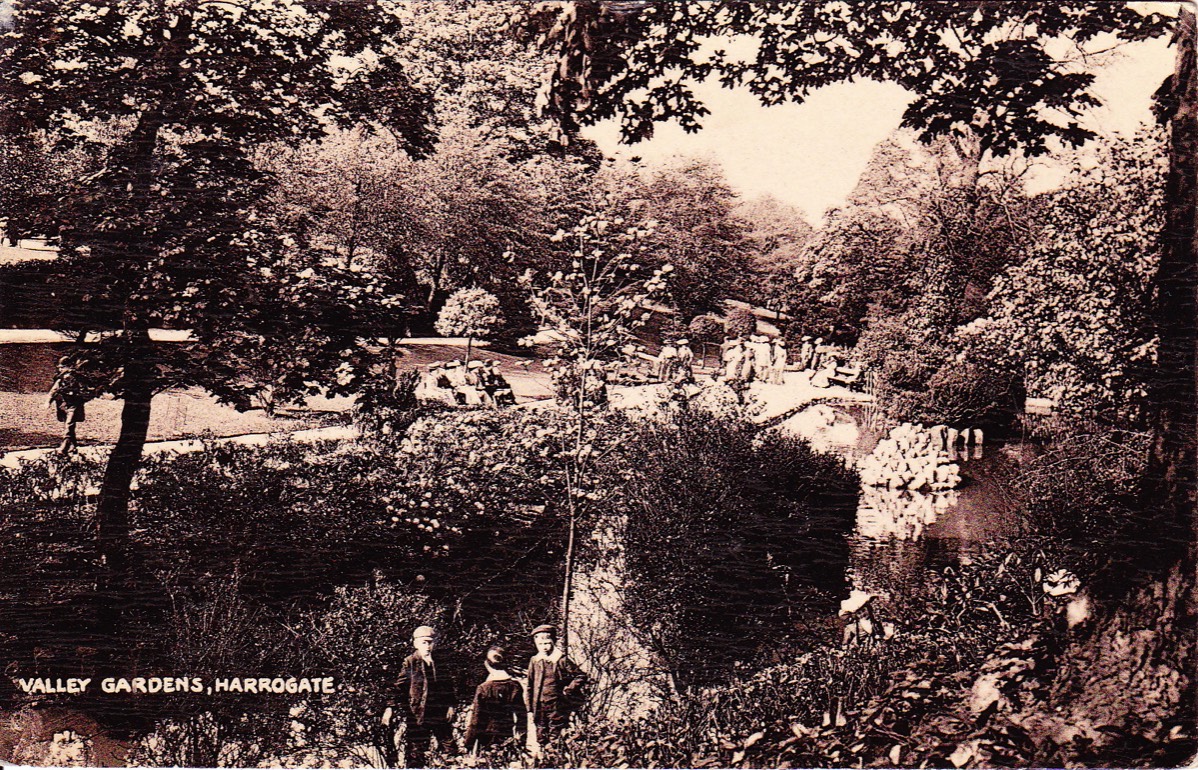 Duck Pond from the South Side of Stream*